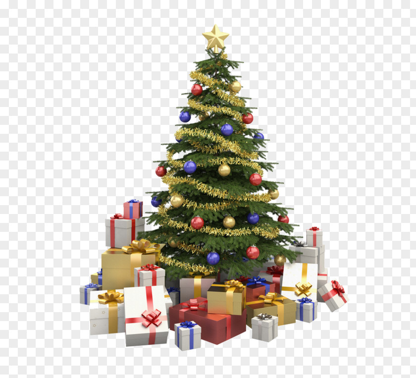 Christmas Tree Stock Photography Gift PNG