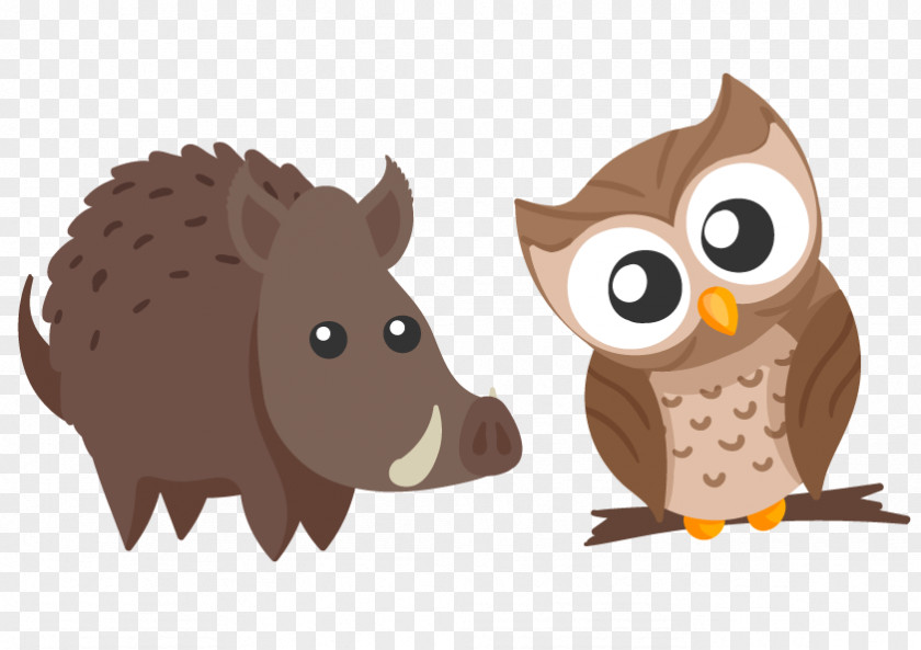 Owl Head Tilt Cute Animal Wild Boar Cartoon Clip Art PNG