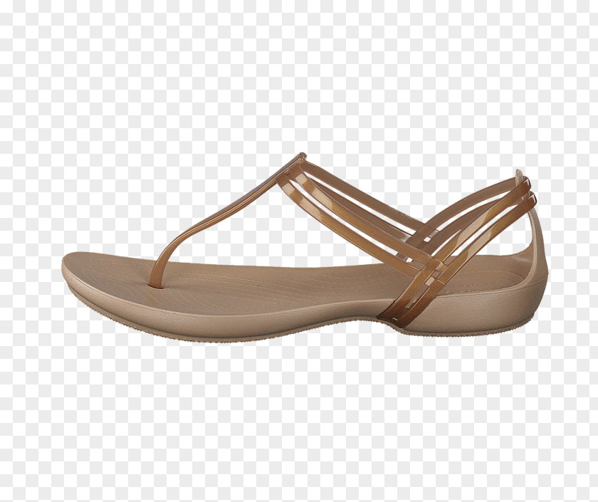 Sandal Shoe Walking PNG