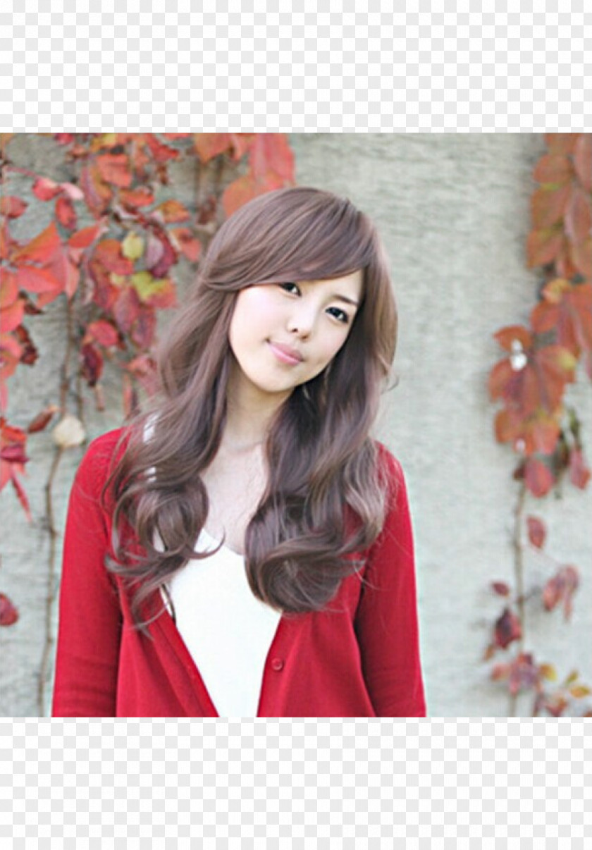 Wig Sets Lace Long Hair Hairstyle PNG