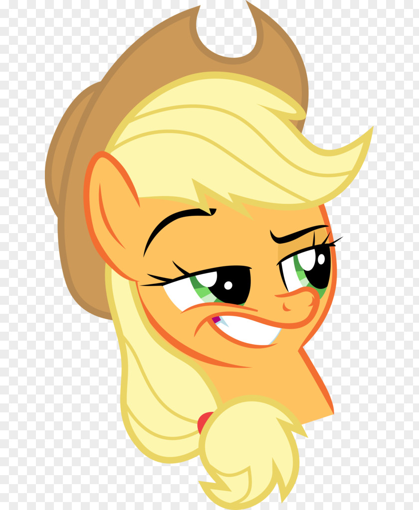 Applejack Twilight Sparkle Rarity Pinkie Pie Rainbow Dash PNG