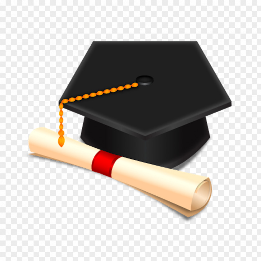 College Diploma Academic Degree PNG