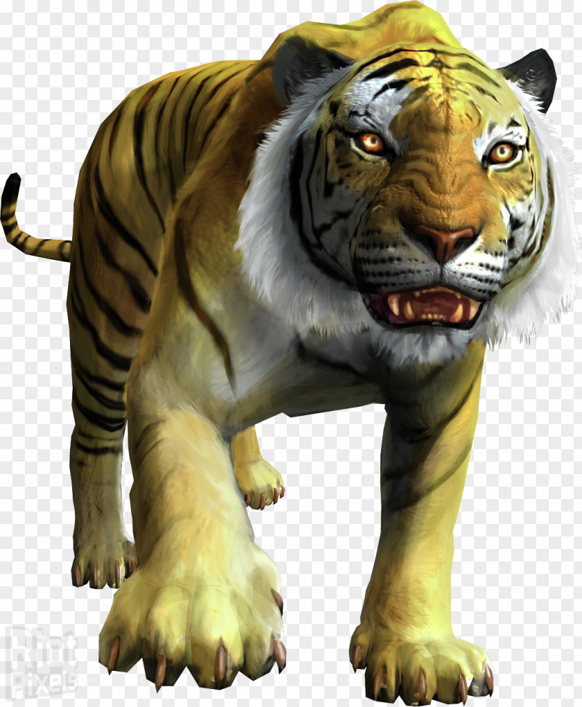 Dead Rising Lion 2 Baby Tigers Felidae Bengal Tiger PNG