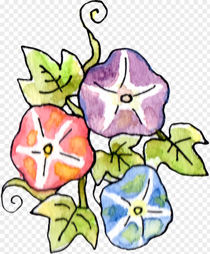 Floral Design PNG