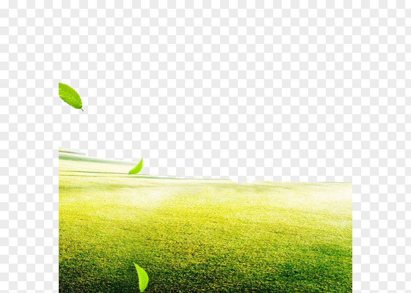 Grass Background Tmall Price E-commerce Taobao AliExpress PNG
