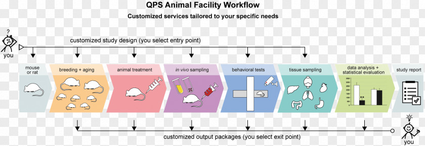 In Vivo Model Organism Research Ex Animal PNG