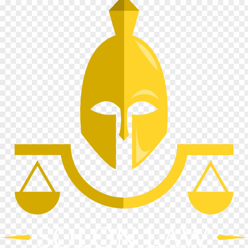 Lawyer Solon Law, PLLC Criminal Defense Law PNG