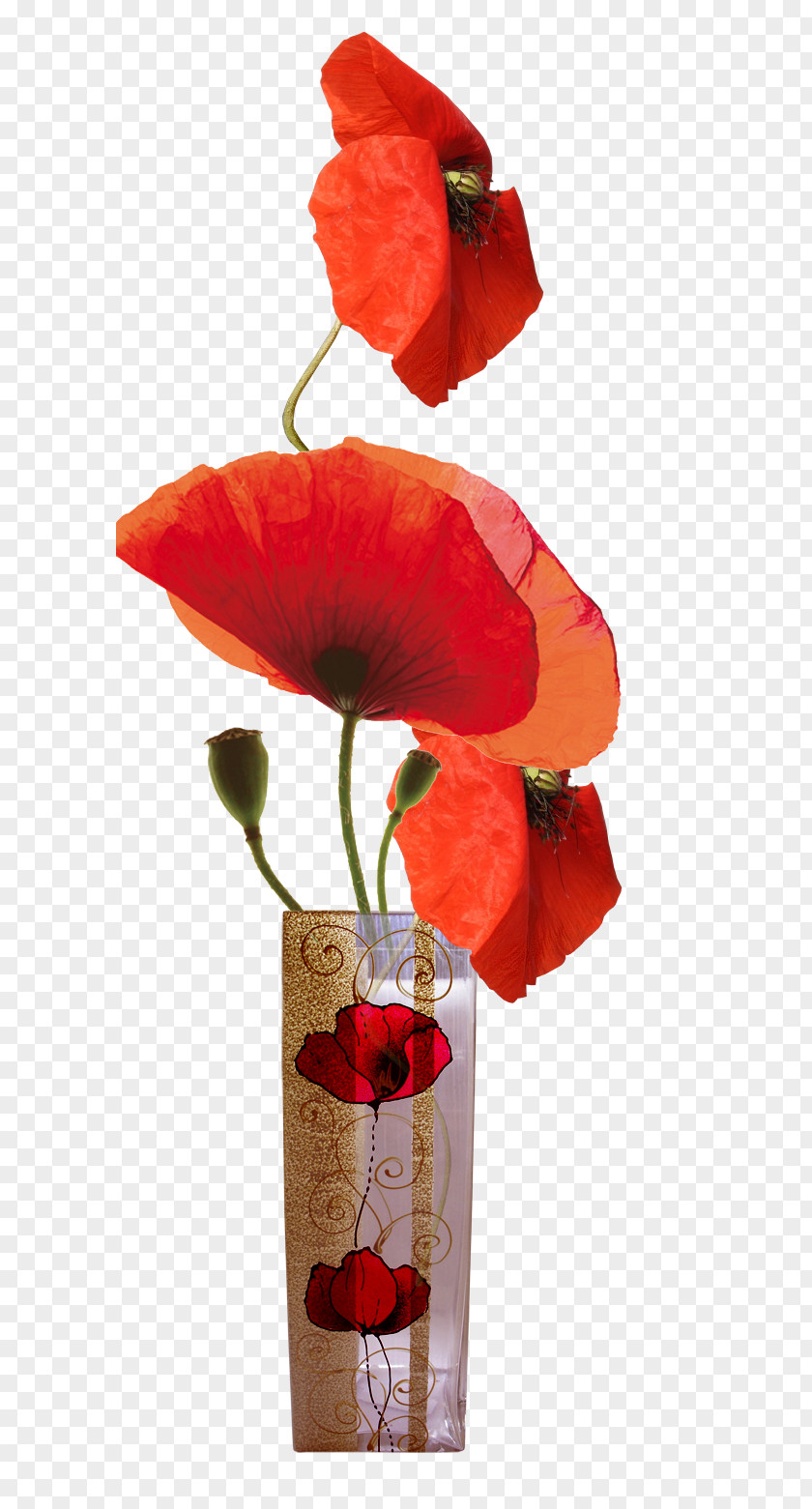 Painting Common Poppy Photography Clip Art PNG