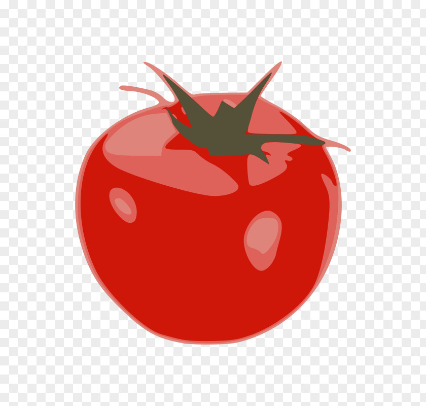 Tomato Slices Health Vegetable Clip Art PNG