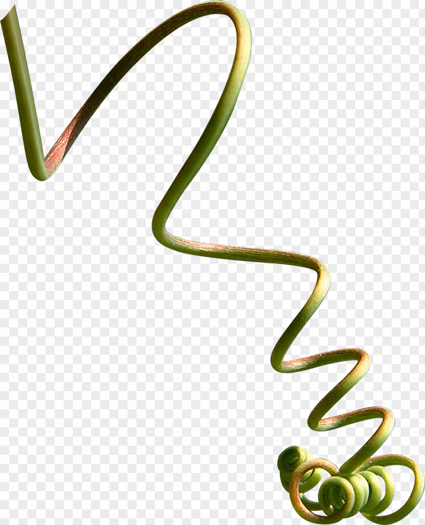 Twig PNG clipart PNG