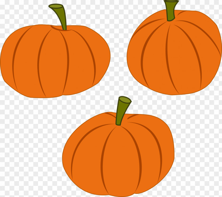 Vector Pumpkin Royalty-free Clip Art PNG