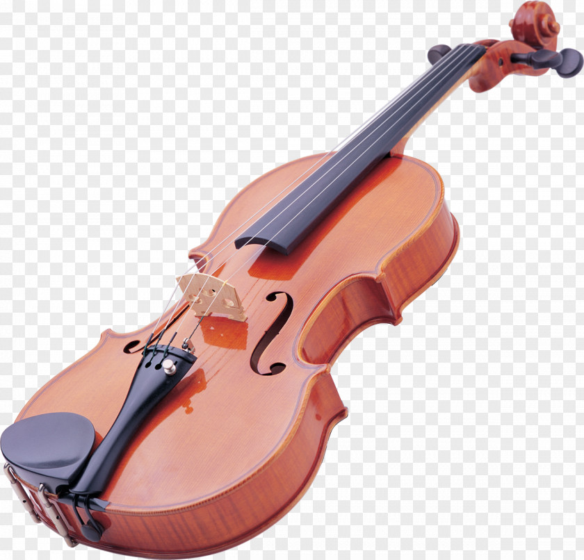 Violin Amazon.com Ukulele String Instruments PNG
