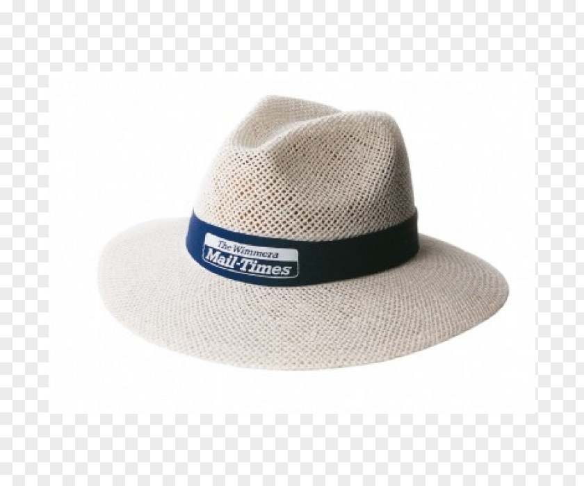 Cap Fedora Straw Hat Bucket PNG