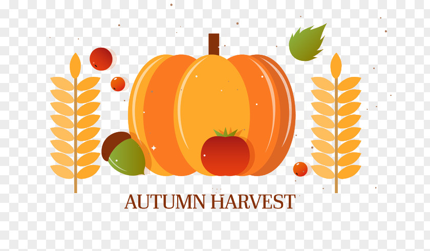 Cartoon Fall Harvest Big Pumpkin Autumn PNG
