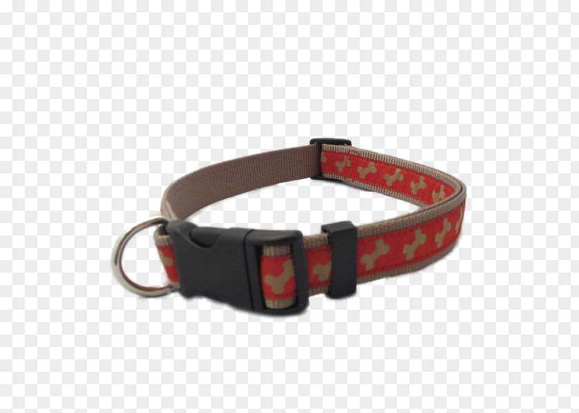 Dog Collar Nylon Belt PNG
