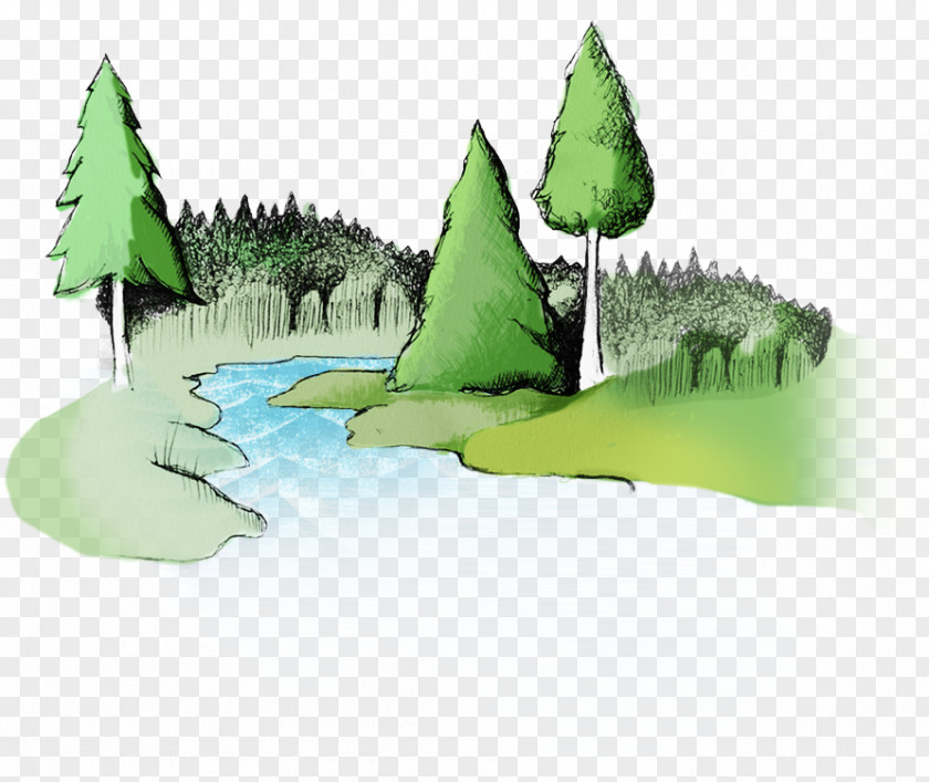 Leaf Water Resources Lawn PNG