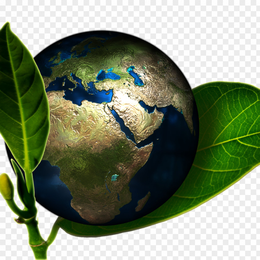Natural Environment Globe Environmentally Friendly Environmental Protection Earth PNG