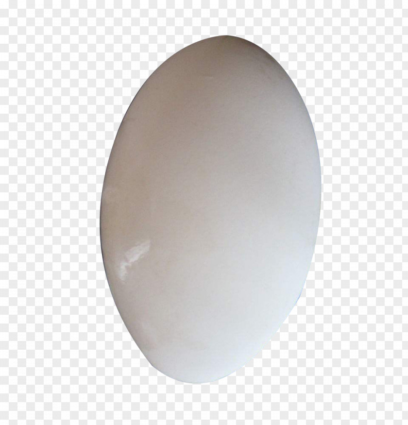 Oval Goose Picture Material Domestic Egg Chicken PNG