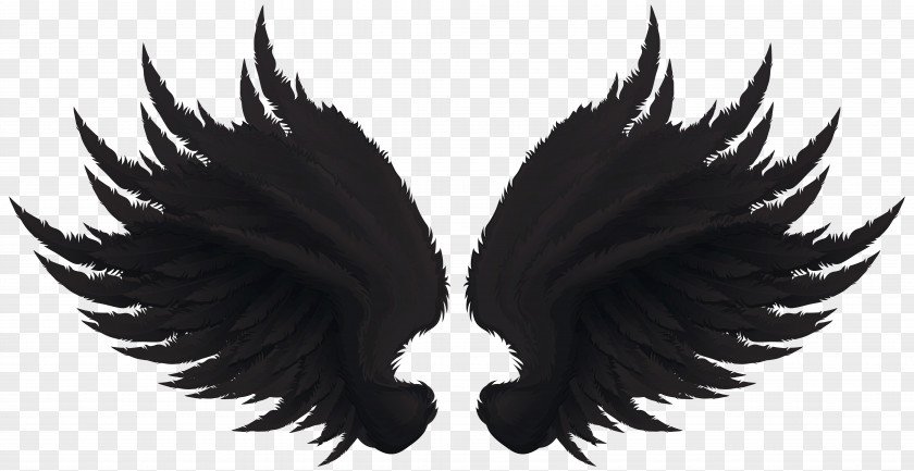 Phoenix Wing Art Clip PNG