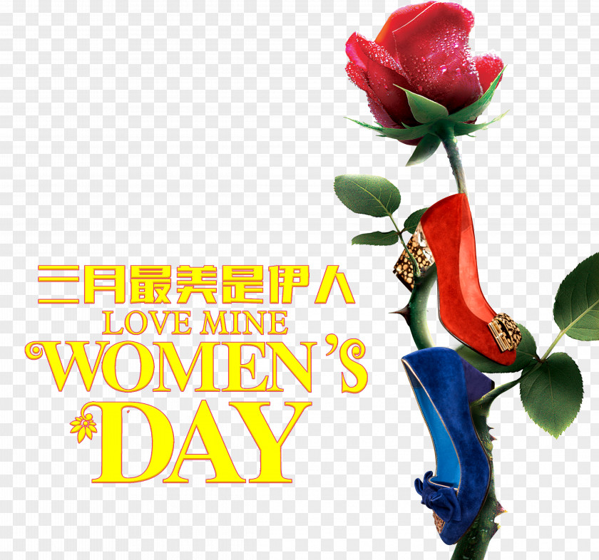 Thirty-eight Women's Day Promotion Material High-heeled Footwear Sales Shoe PNG