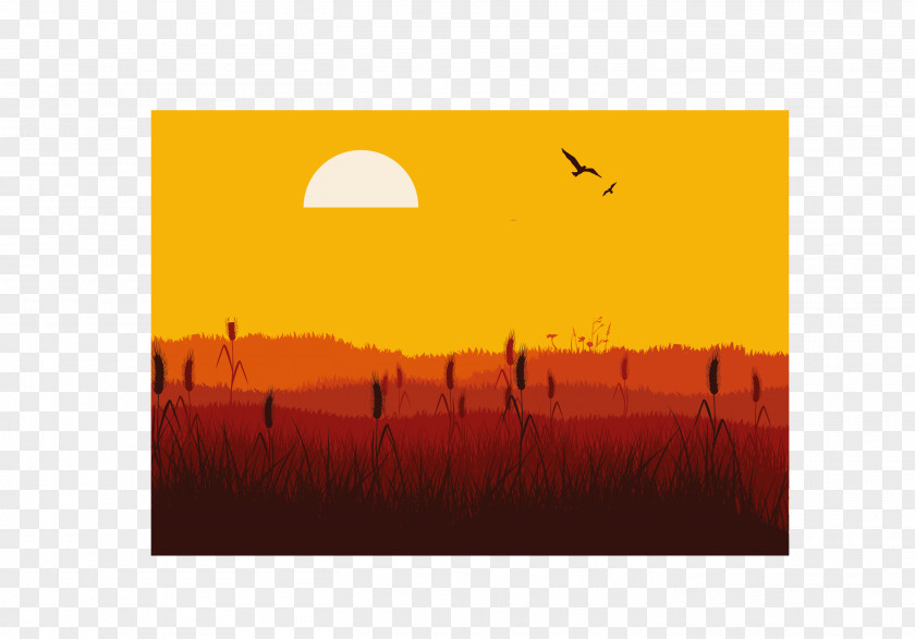 Desert Sunset Scenery PNG