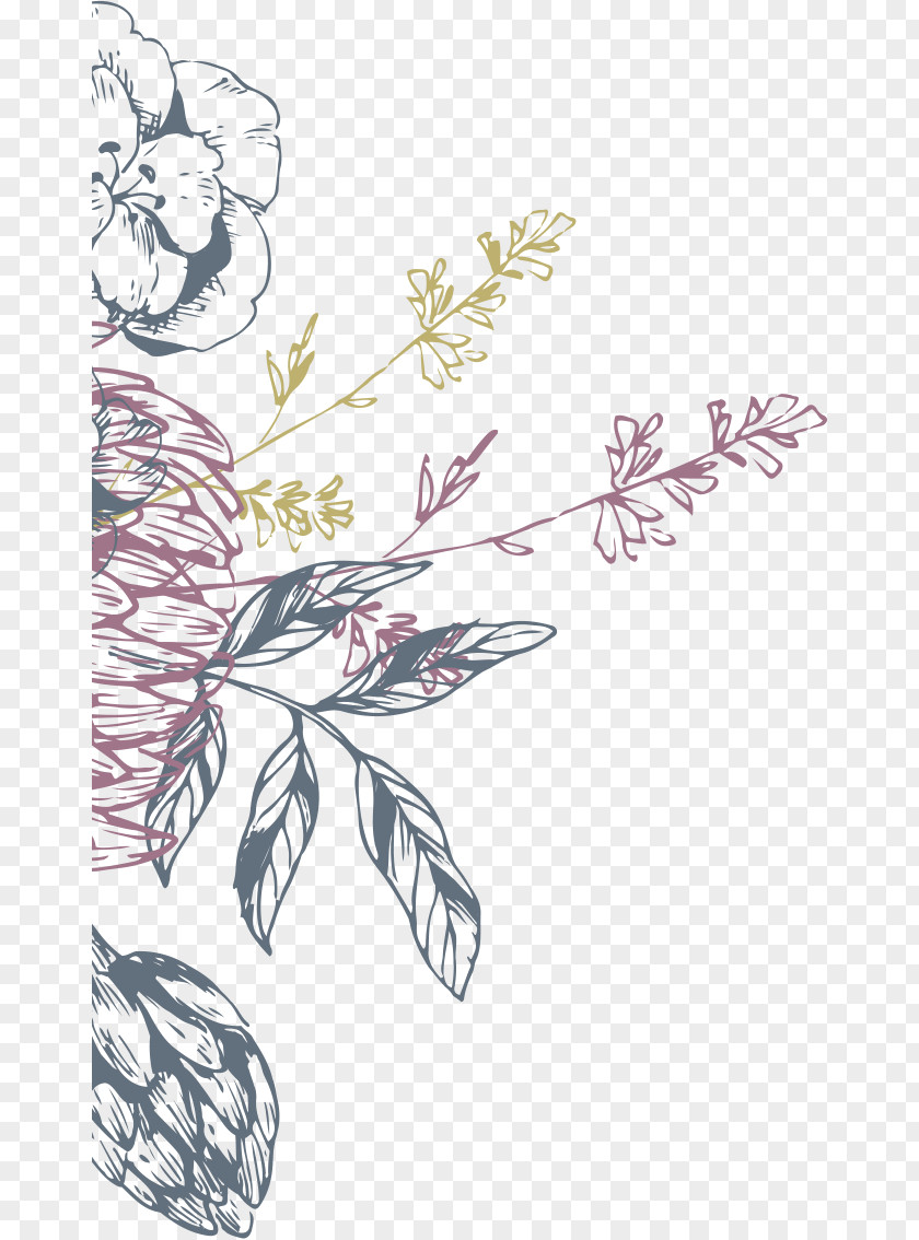 Design Floral Picking Posies Illustration Pattern PNG