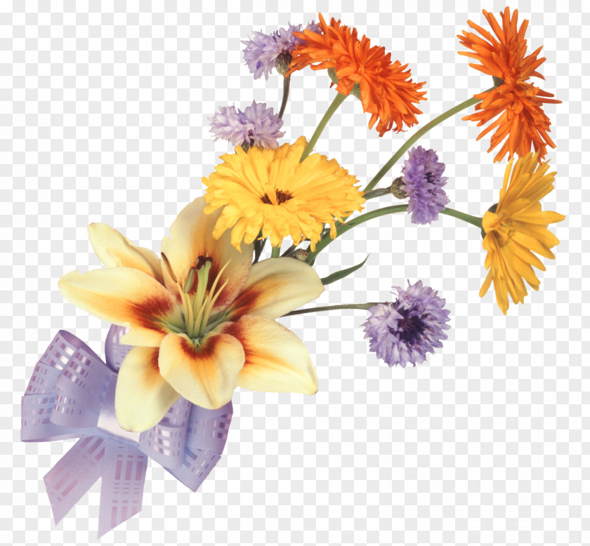 Flower Of The Fields Bouquet Cut Flowers Drawing PNG