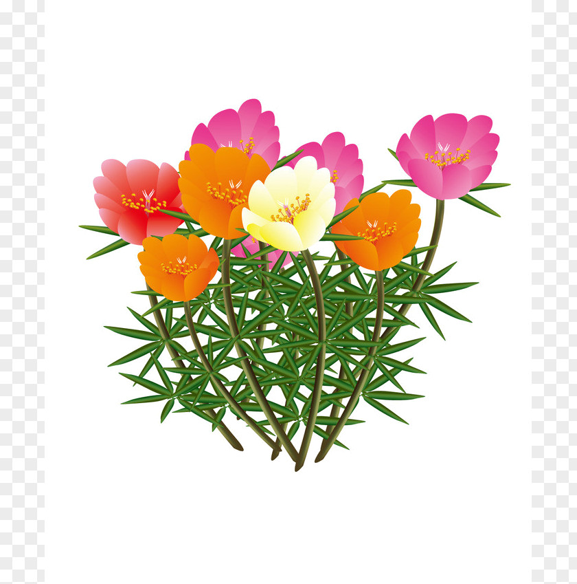 Flower Petal Cut Flowers Clip Art PNG