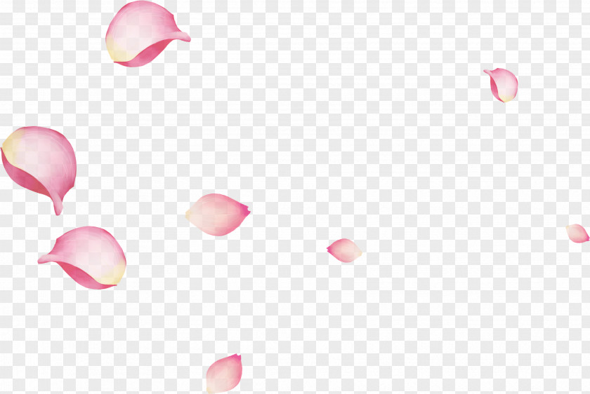 Pink Floating Rose Petals PNG floating rose petals clipart PNG
