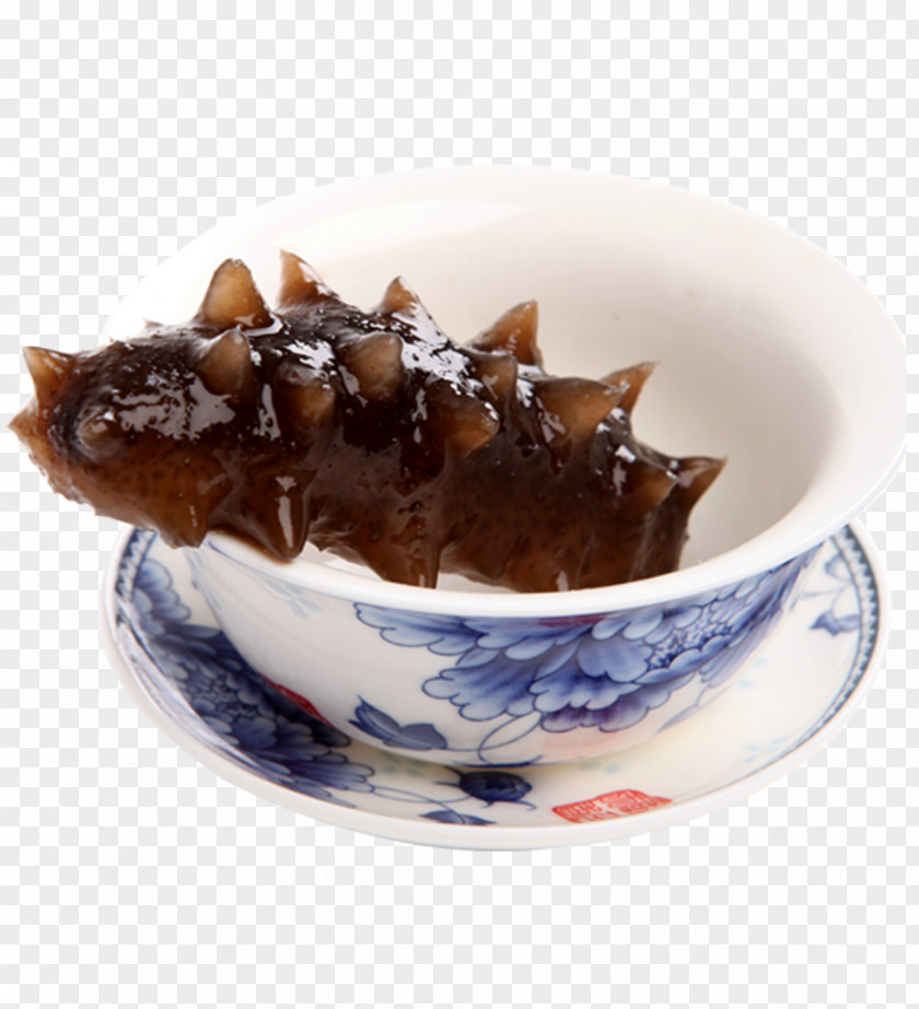 Sea Cucumber As Food Seafood PNG