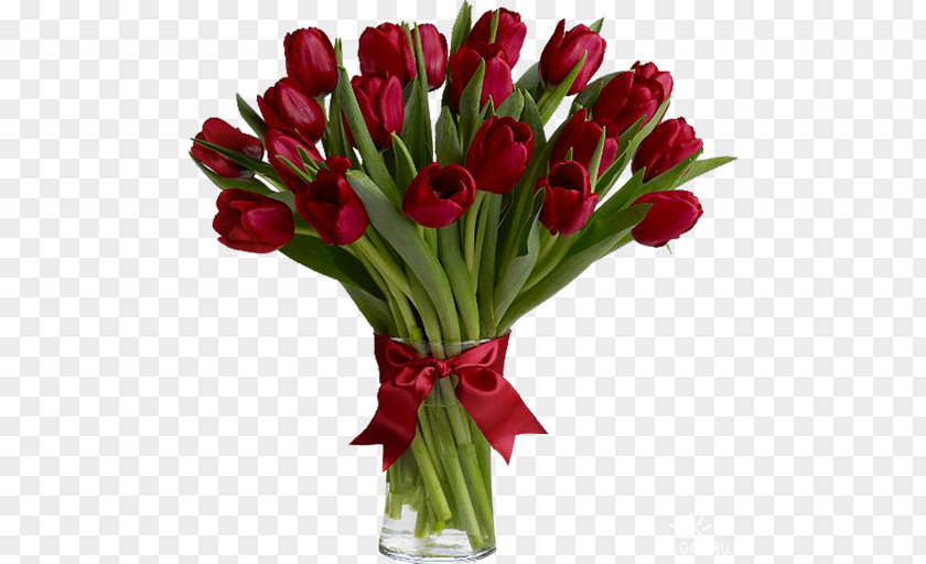 Tulip Flower Bouquet Red Floristry PNG