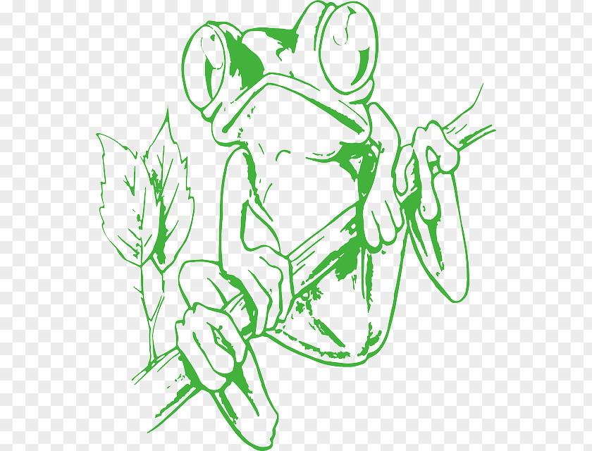 Amphibian All About Frogs Sticker Clip Art PNG