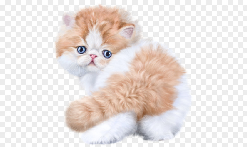 Animation Cat Clip Art PNG