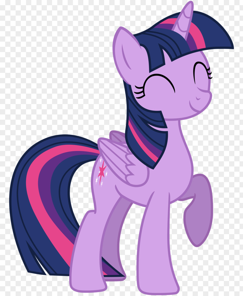 Applause Twilight Sparkle Pony Pinkie Pie The Saga PNG