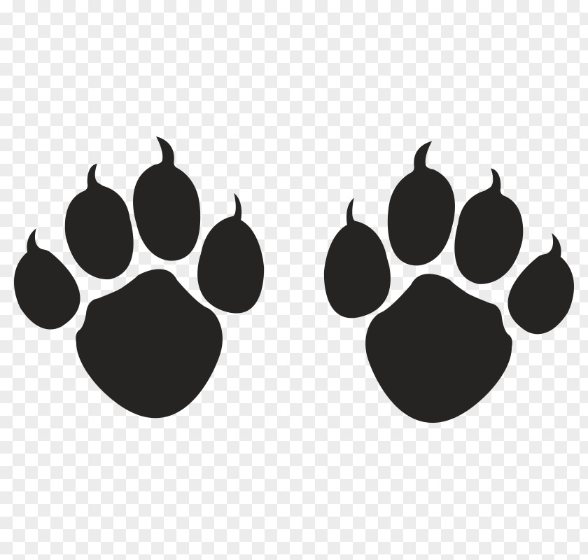 Cat Paw Dog Pet Claw PNG