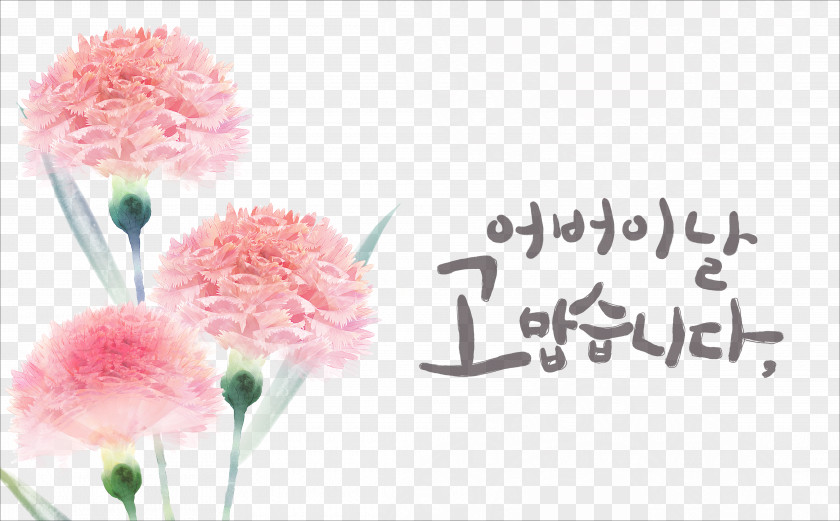 Delicate Floral Carnations Psd Carnation Flower Download PNG