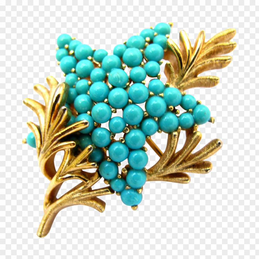 Jewellery Turquoise Brooch Body PNG