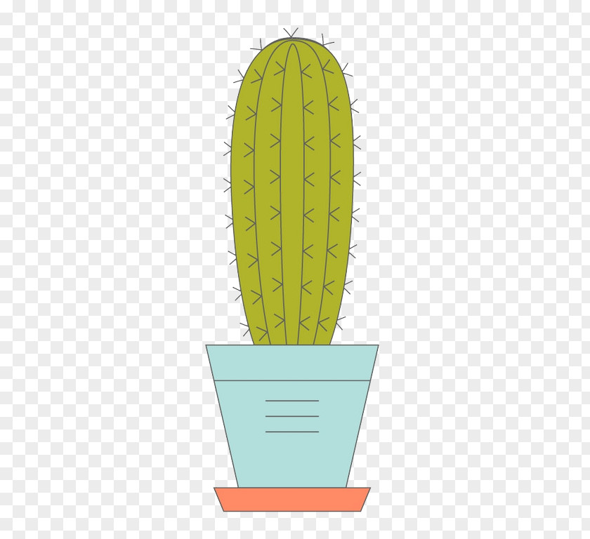 Potted Cactus Cactaceae Flowerpot Drawing PNG
