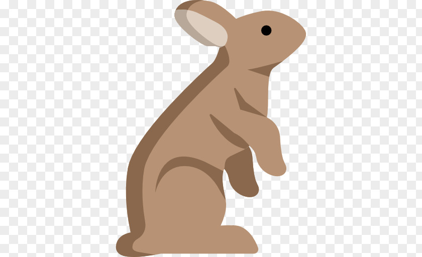 Rabbit Domestic Hare Wildlife Rodent PNG