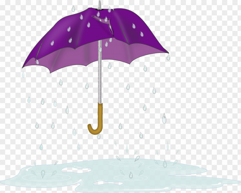 Rain Umbrella Clip Art PNG