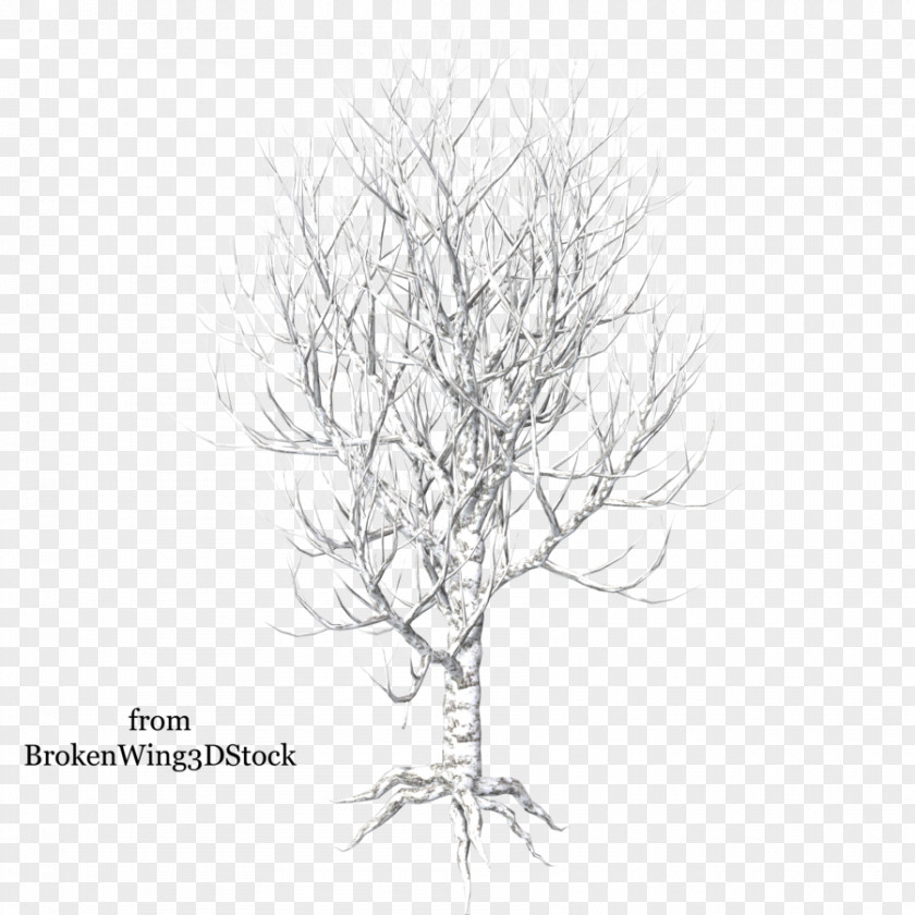 Winter Trees Drawing Clip Art PNG