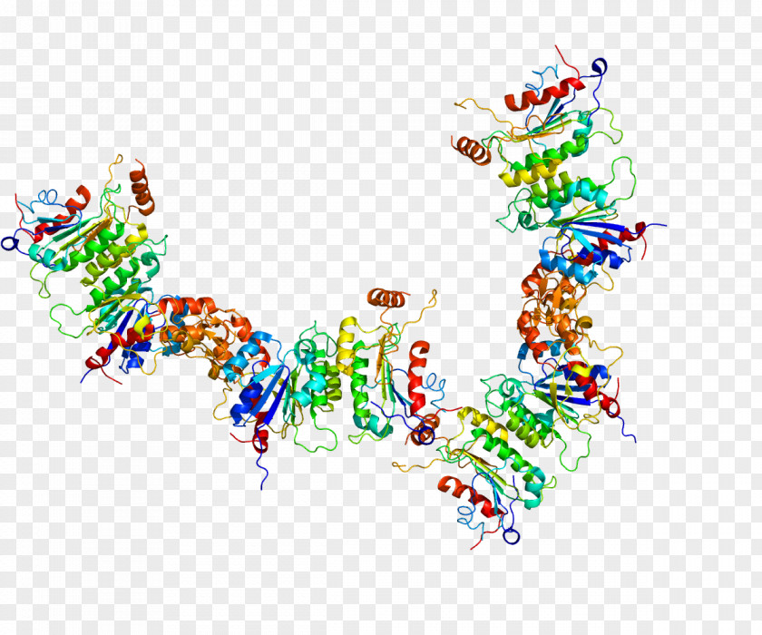 DNA (cytosine-5)-methyltransferase 3A Methyltransferase Methylation Enzyme PNG