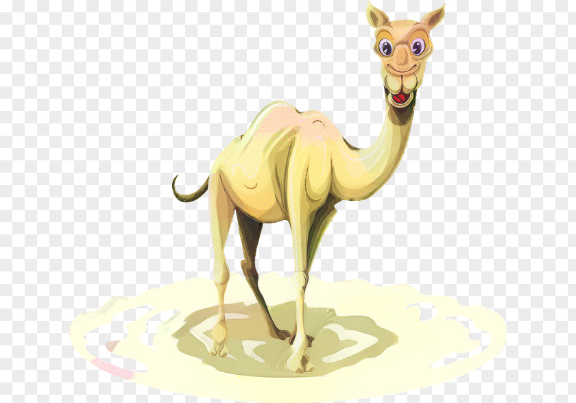 Dromedary Llama Illustration Image PNG
