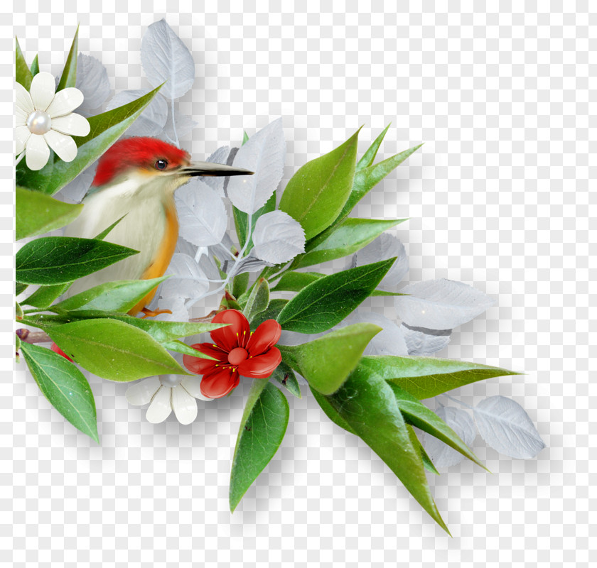 Flowers Floral Decorations Flower Animation Wallpaper PNG