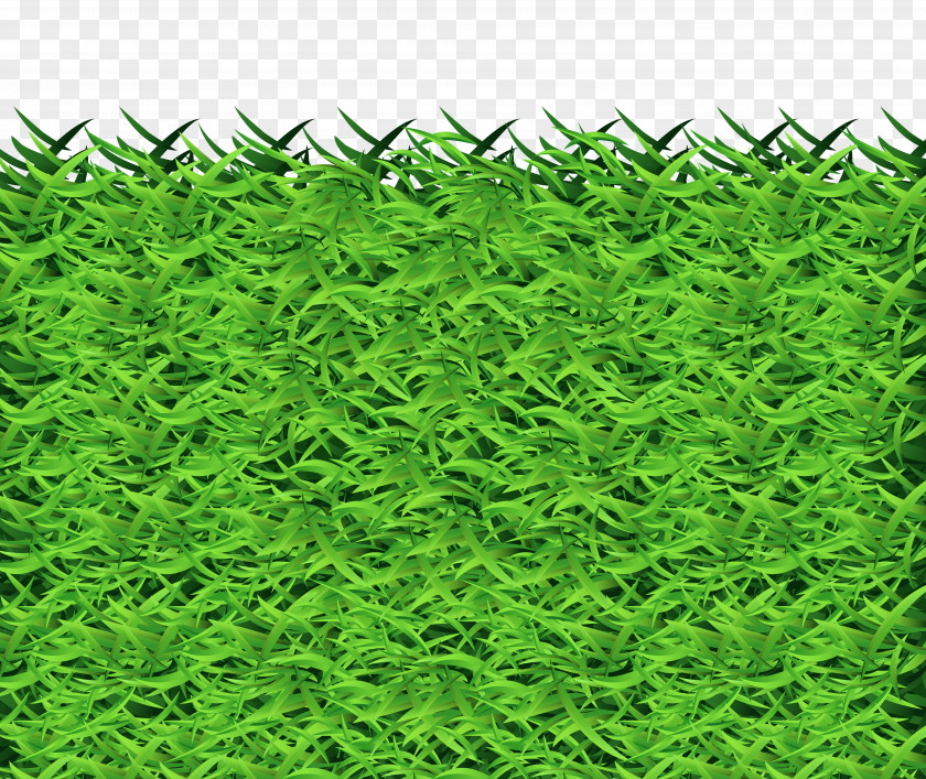 Grass Clipart PNG