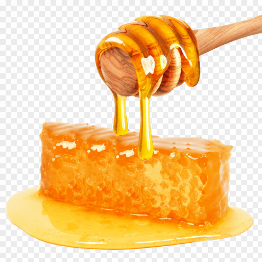 Honey Clip Art PNG