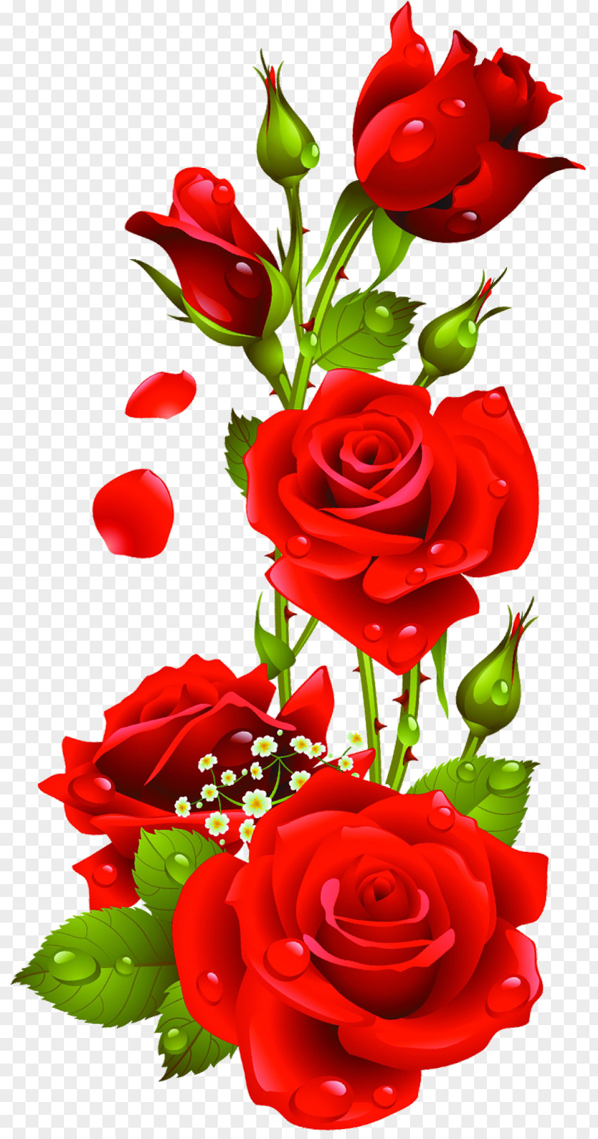 Radha Krishna Rose Flower Clip Art PNG