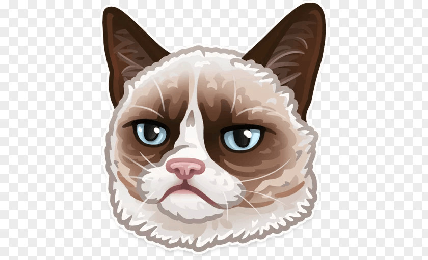 Sticker Telegram Decal Grumpy Cat Doge PNG