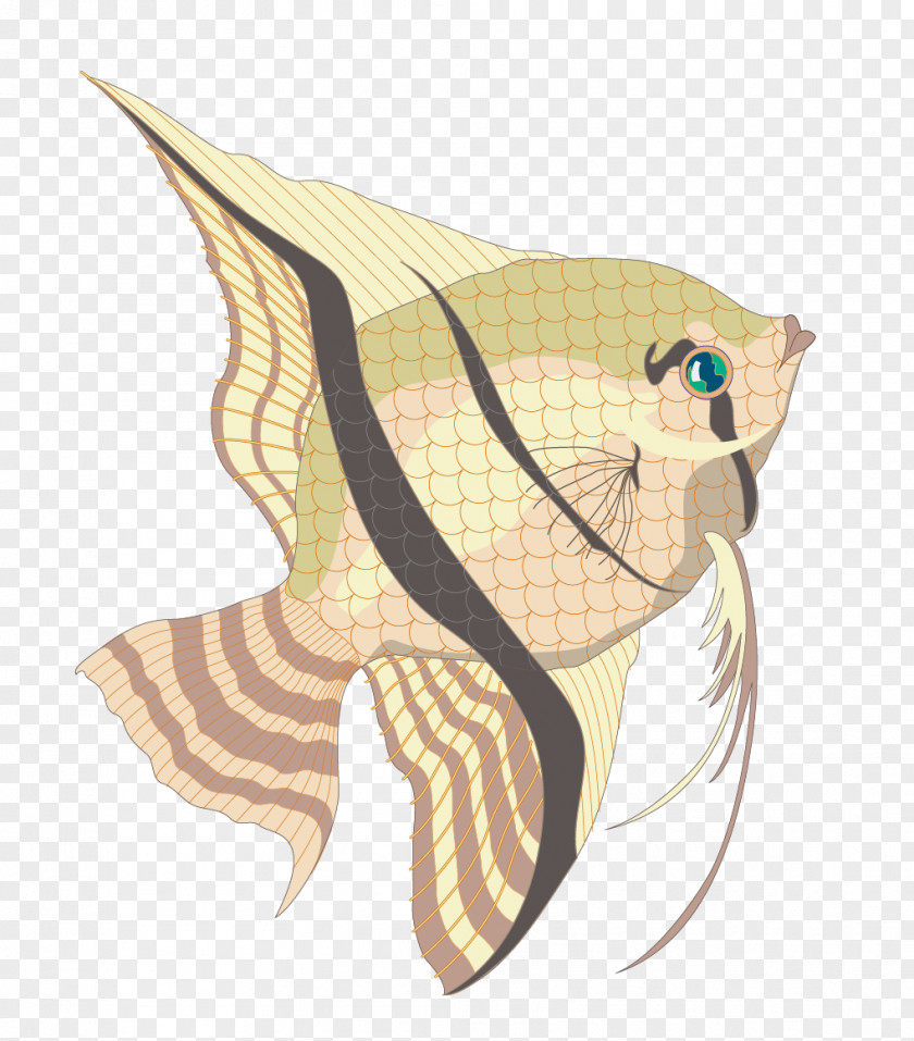 Vector Plaid Material Ornamental Fish Marine Biology PNG