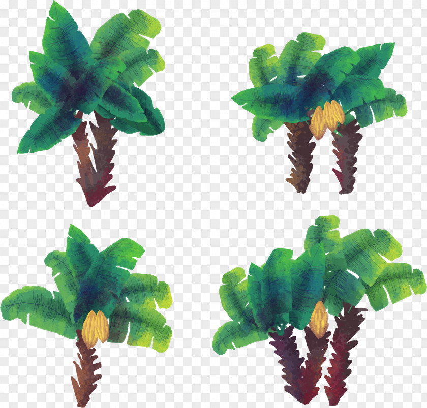 Watercolor Hand Painted Coconut Tree Arecaceae Euclidean Vector Painting PNG